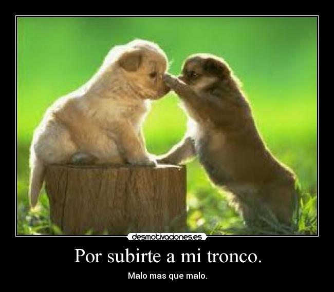 Por subirte a mi tronco. -