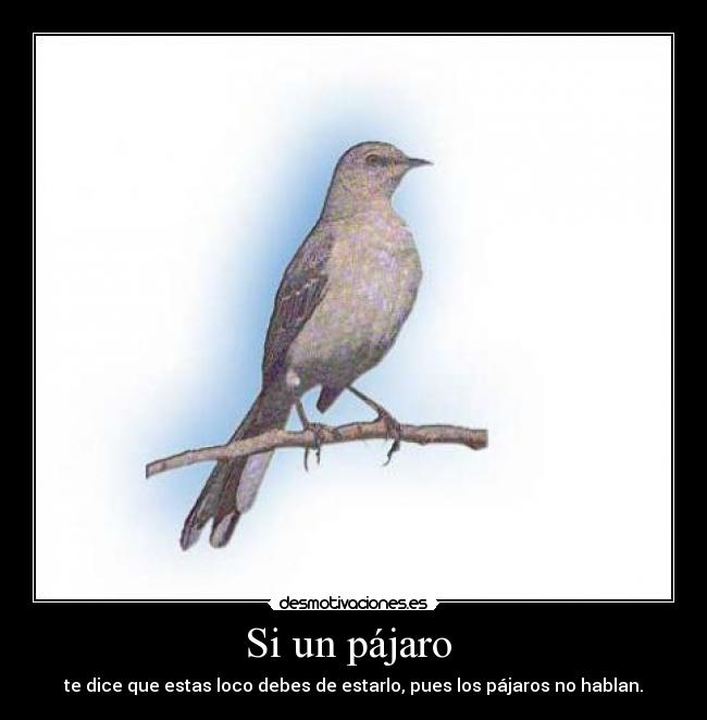 Si un pájaro -