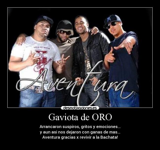 Gaviota de ORO - Arrancaron suspiros, gritos y emociones...
y aun asi nos dejaron con ganas de mas...
Aventura gracias x revivir a la Bachata!