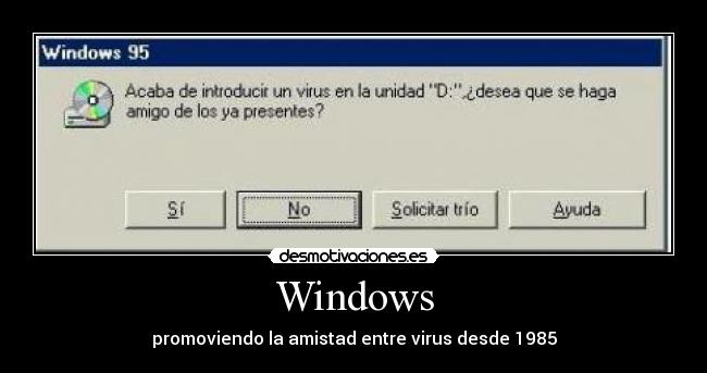 Windows -
