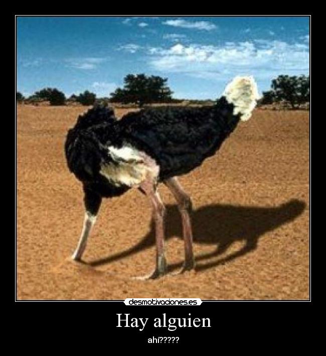 Hay alguien - ahí?????