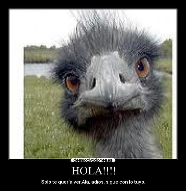 HOLA!!!! - 