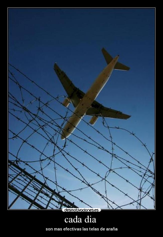 cada dia - son mas efectivas las telas de araña