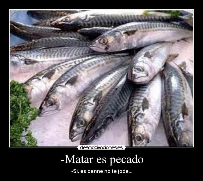 -Matar es pecado -