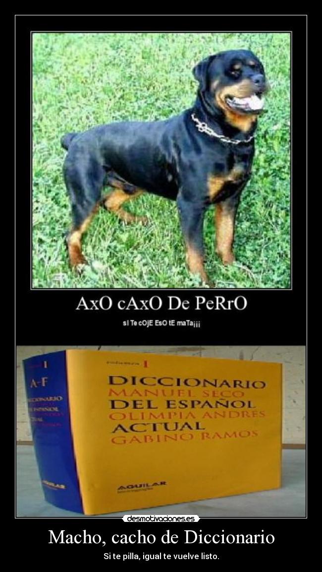 Macho, cacho de Diccionario - 