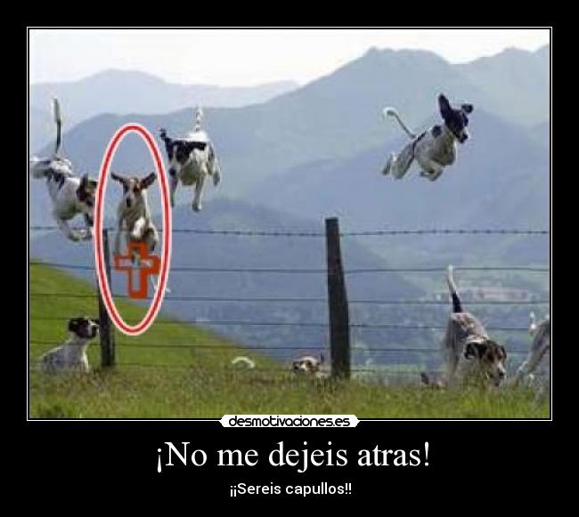 ¡No me dejeis atras! - ¡¡Sereis capullos!!