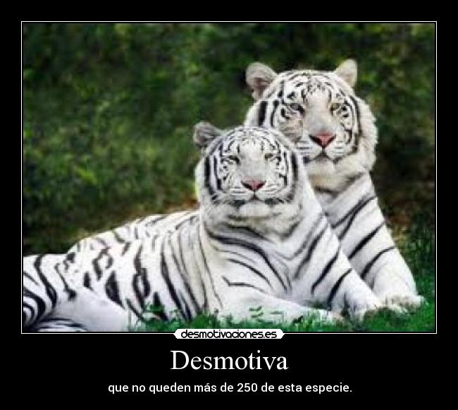 Desmotiva - que no queden más de 250 de esta especie.