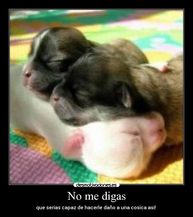 No me digas - 