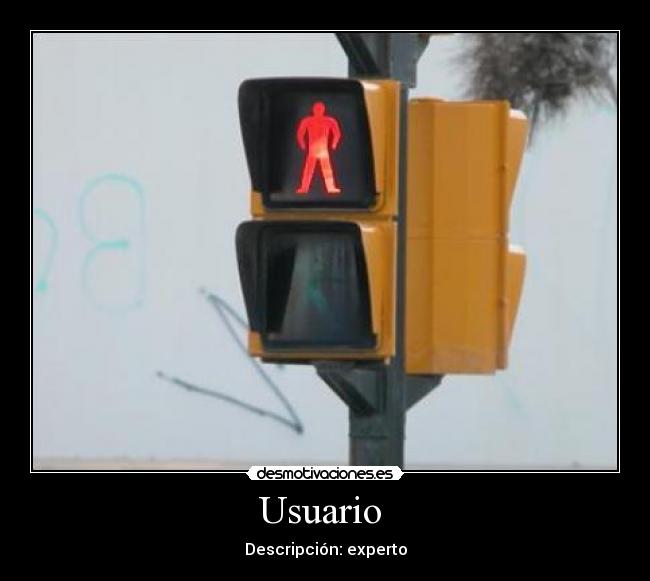Usuario - Descripción: experto