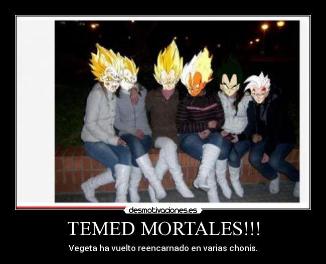 TEMED MORTALES!!! - Vegeta ha vuelto reencarnado en varias chonis.