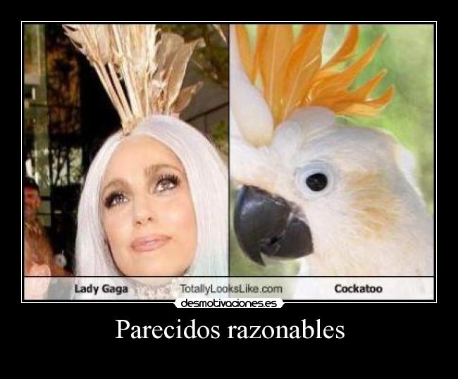 Parecidos razonables -