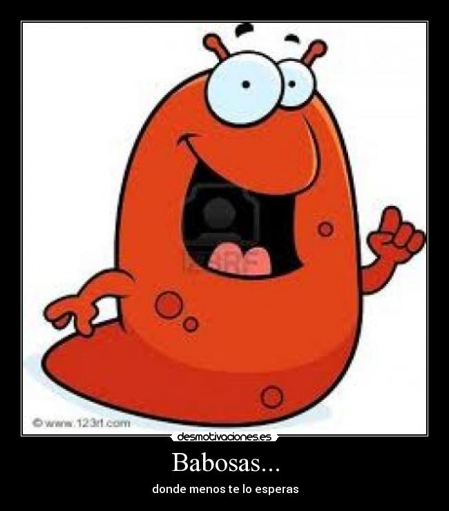 Babosas... -