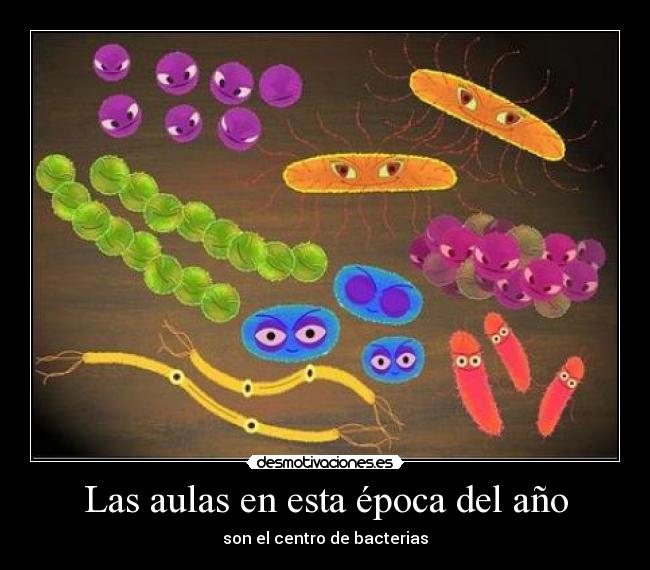 Las aulas en esta época del año - 