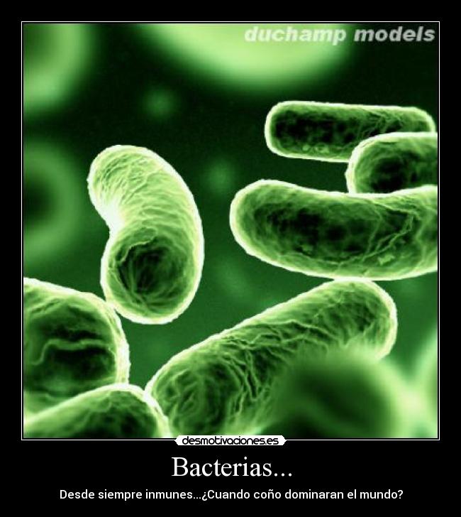 Bacterias... - Desde siempre inmunes...¿Cuando coño dominaran el mundo?
