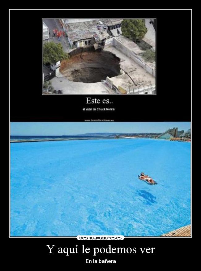 Y aquí le podemos ver - 