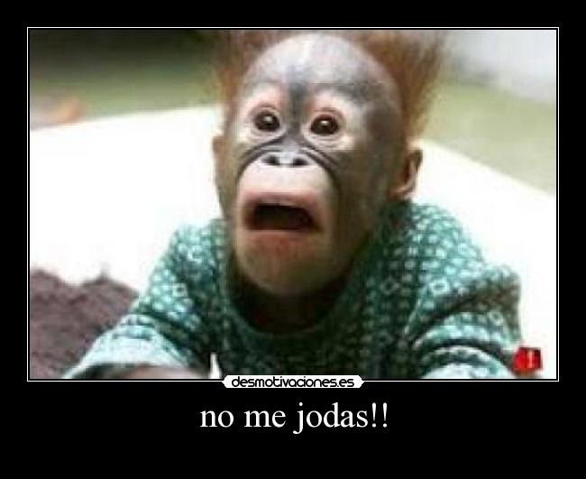 no me jodas!! - 