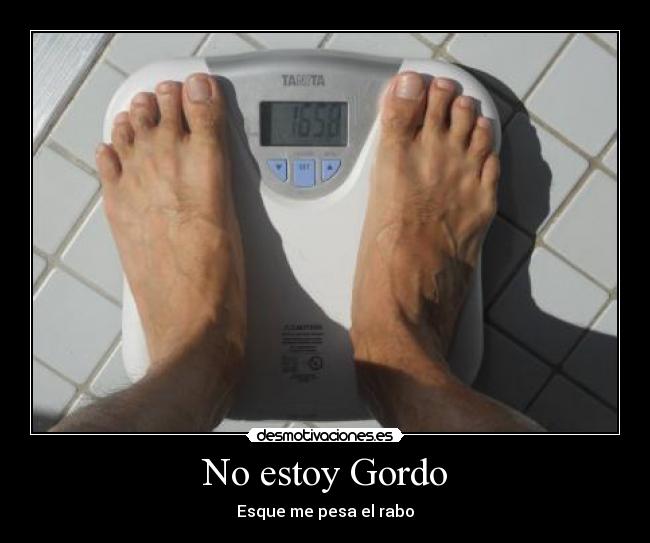 No estoy Gordo -