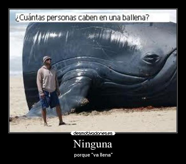Ninguna -