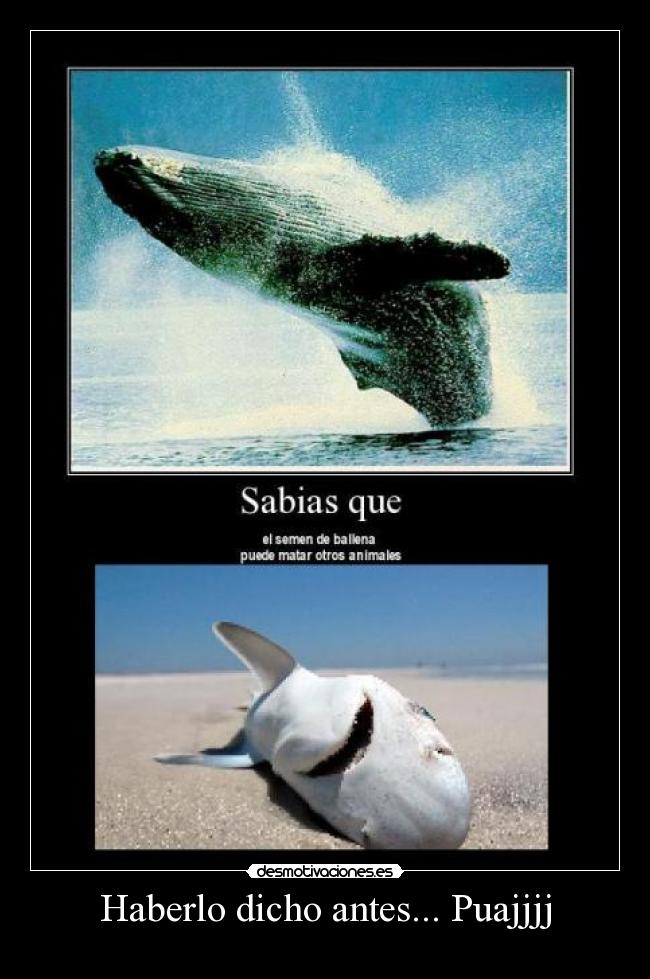 carteles felipewii1 desmotivaciones