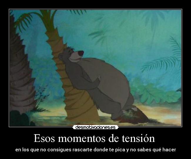 Esos momentos de tensión  - en los que no consigues rascarte donde te pica y no sabes qué hacer