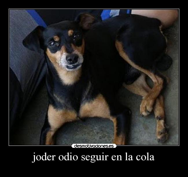 joder odio seguir en la cola -