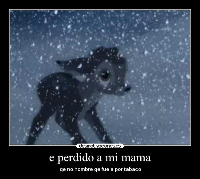 e perdido a mi mama - 