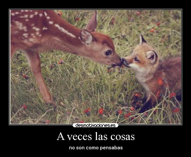 A veces las cosas -