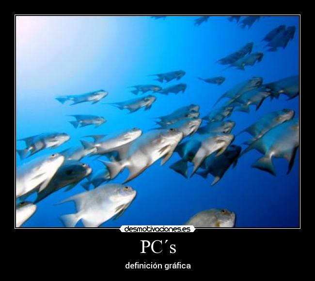 PC´s - 