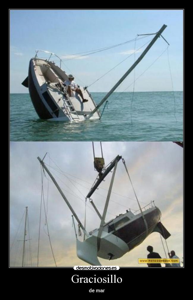 Graciosillo - 