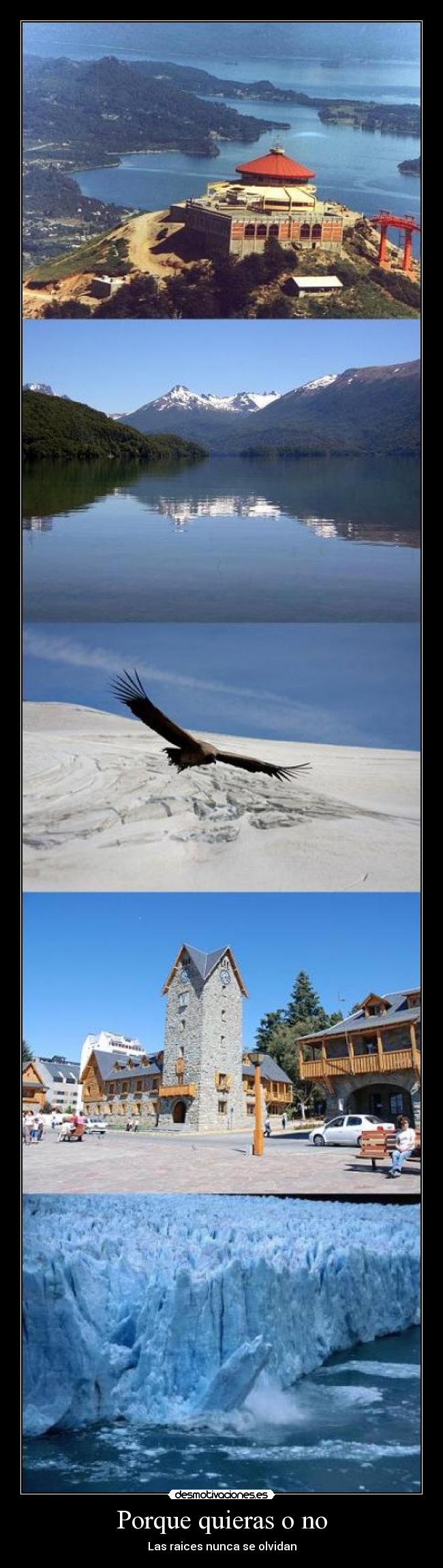 Porque quieras o no - Las raices nunca se olvidan