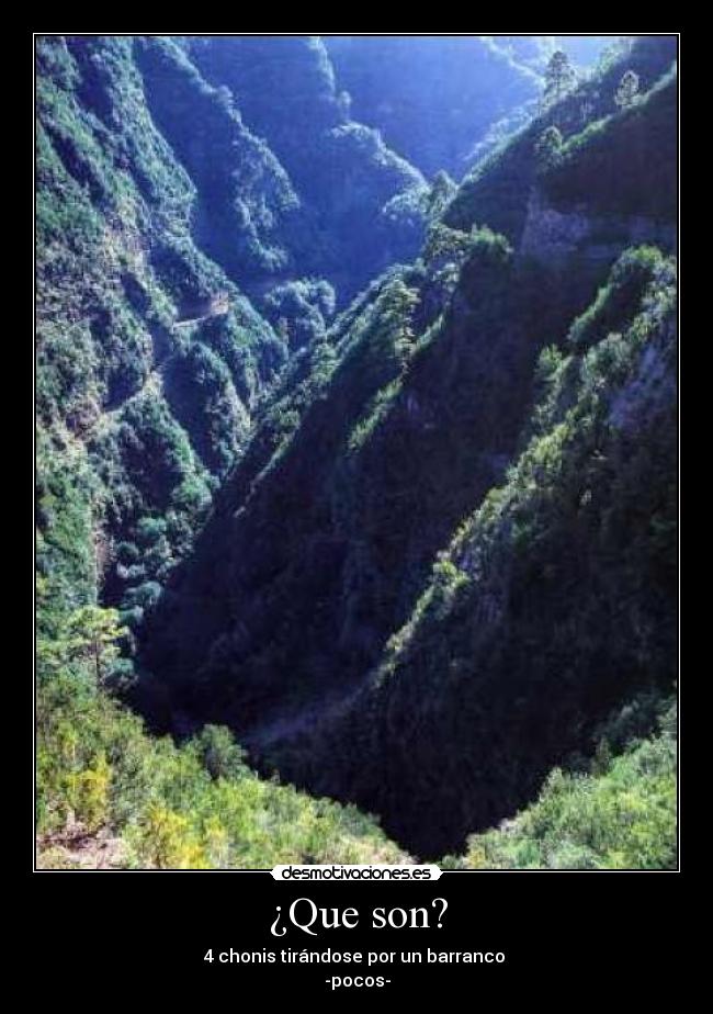 ¿Que son? -