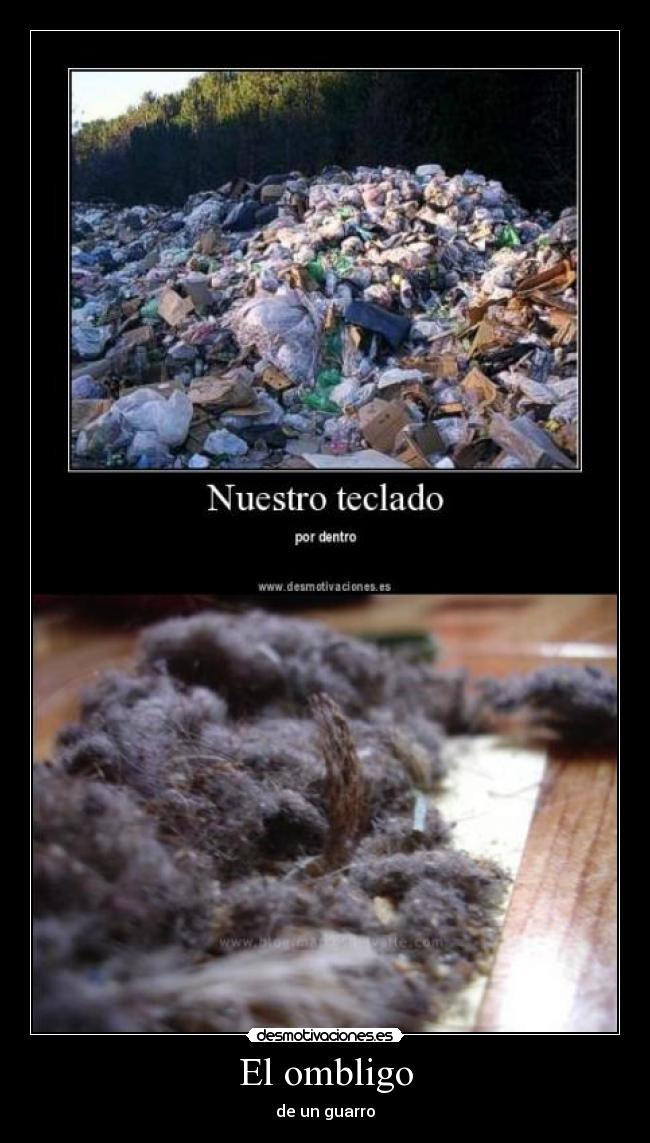 El ombligo - de un guarro