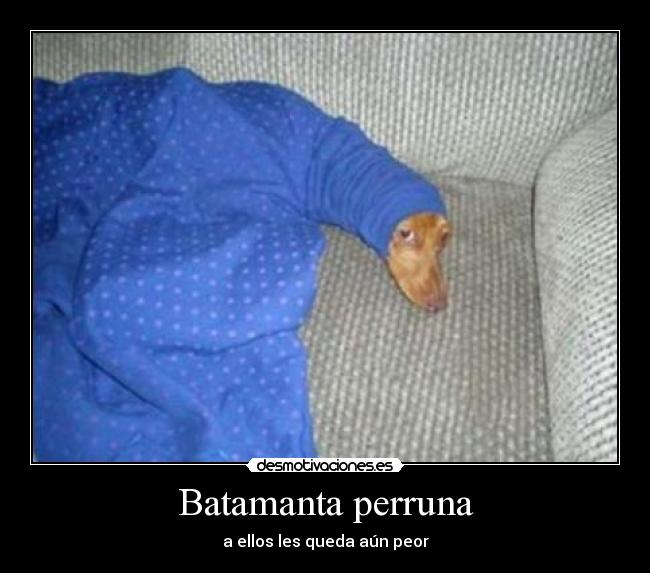 Batamanta perruna - a ellos les queda aún peor