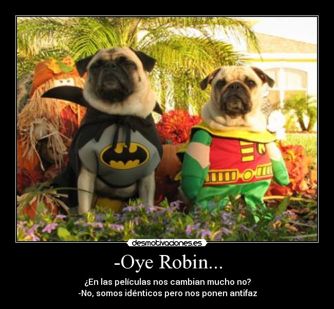 -Oye Robin... - 