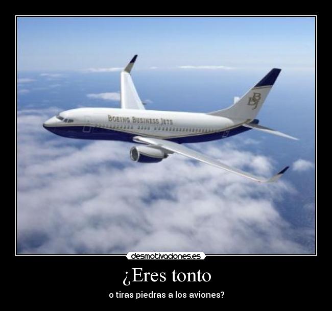 ¿Eres tonto - o tiras piedras a los aviones?