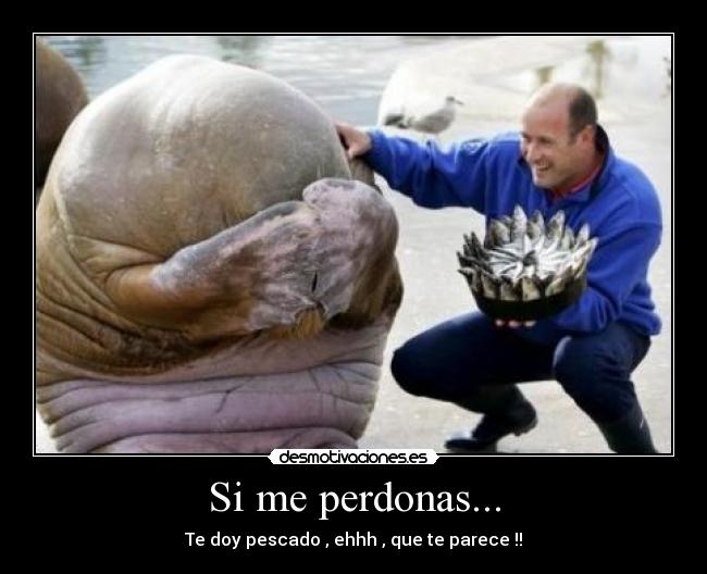 Si me perdonas... - Te doy pescado , ehhh , que te parece !!