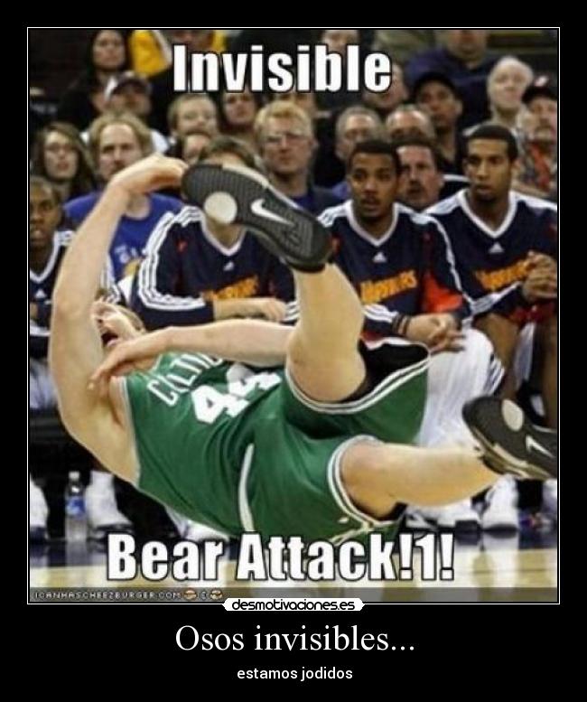 Osos invisibles... -