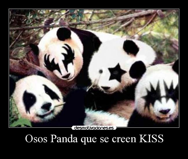 Osos Panda que se creen KISS - 