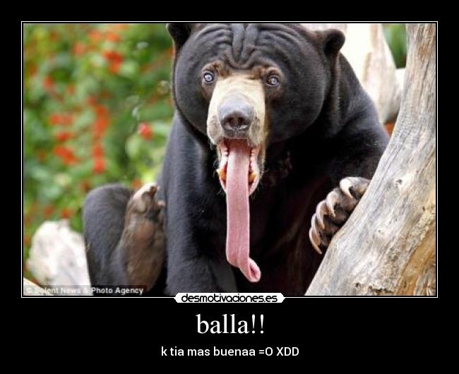 balla!! -