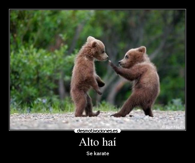Alto haí - Se karate