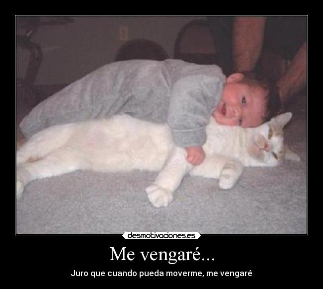 Me vengaré... - 