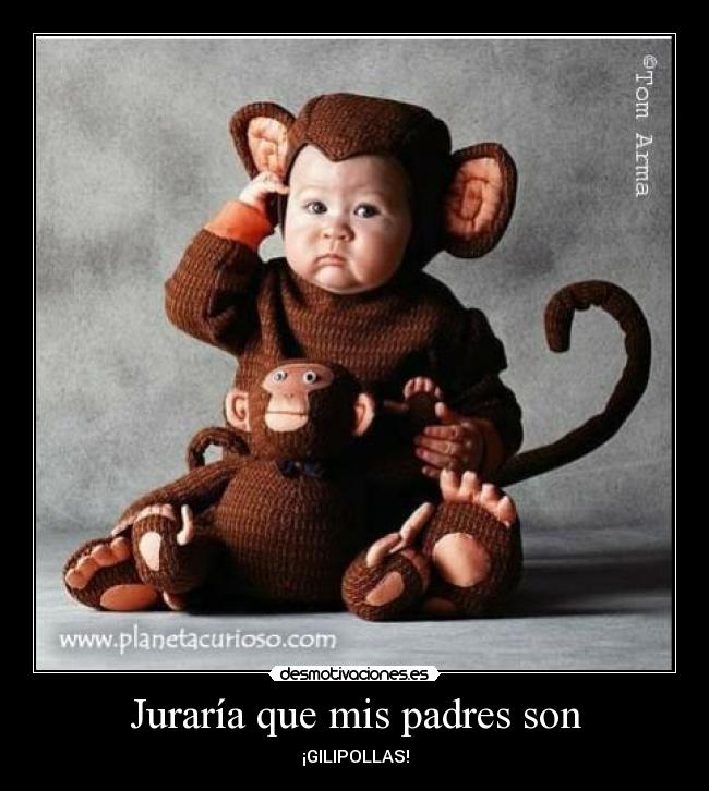 Juraría que mis padres son - ¡GILIPOLLAS!