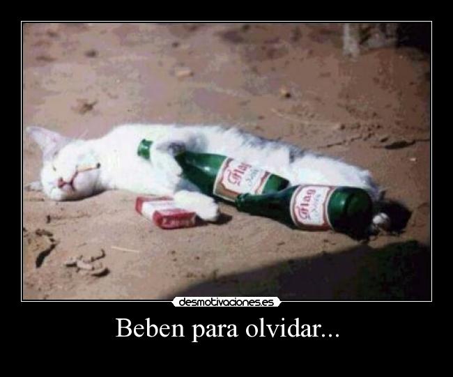 Beben para olvidar... -