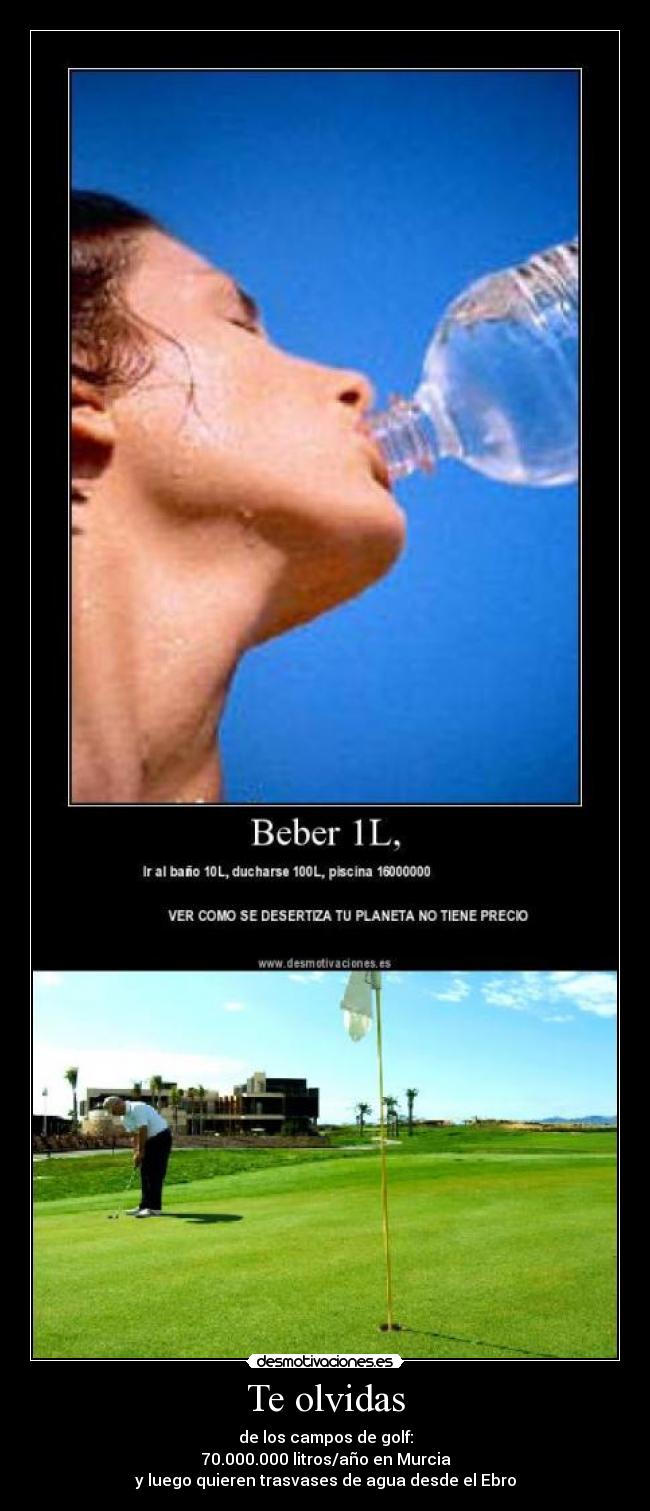 Te olvidas - de los campos de golf:
70.000.000 litros/año en Murcia
y luego quieren trasvases de agua desde el Ebro