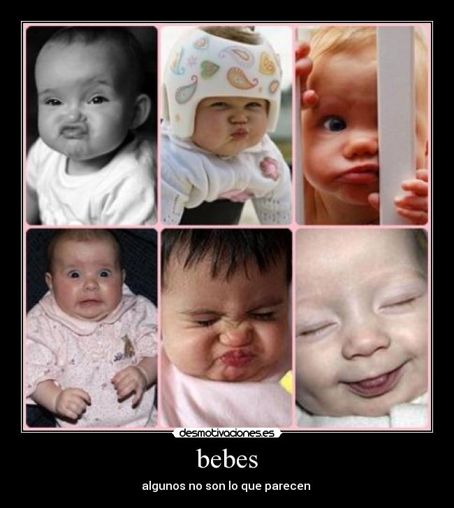 bebes -
