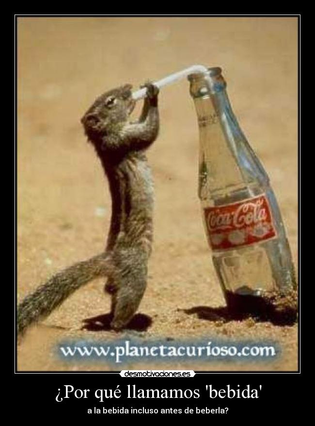 ¿Por qué llamamos bebida -