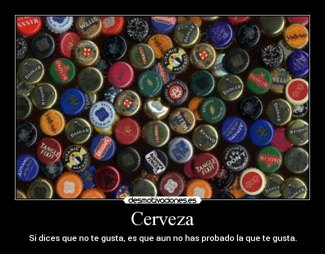 Cerveza - Si dices que no te gusta, es que aun no has probado la que te gusta.