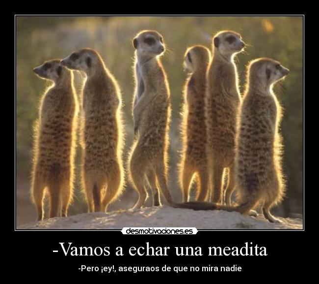 -Vamos a echar una meadita - -Pero ¡ey!, aseguraos de que no mira nadie