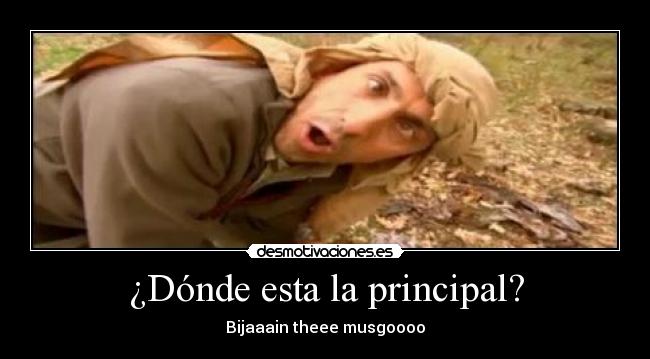 ¿Dónde esta la principal? - Bijaaain theee musgoooo