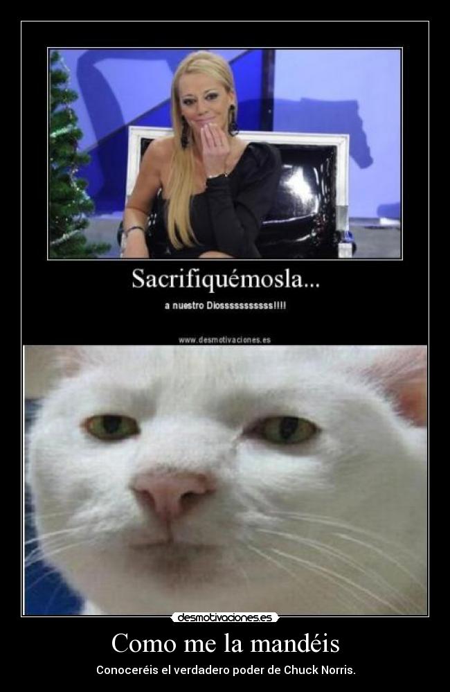 Como me la mandéis - Conoceréis el verdadero poder de Chuck Norris.